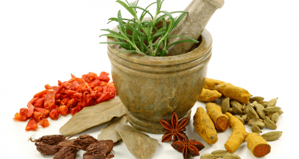 Terapia vegetal